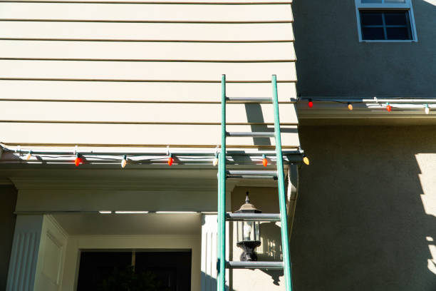 Best Fascia and Soffit Installation  in Loxley, AL